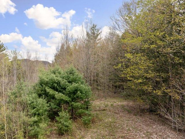 Land for sale in Cambridge, Vermont