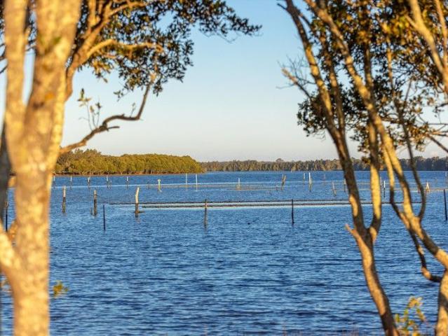 Cottage for sale in Mitchells Island, New South Wales