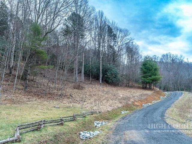 Land for sale in Elk Park, Avery County