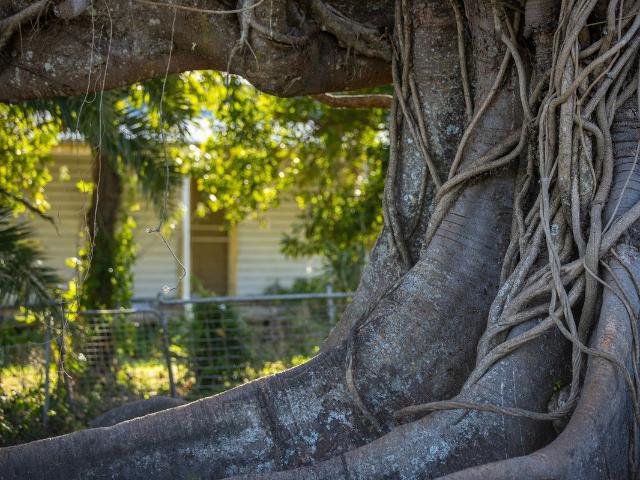Cottage for sale in New South Wales