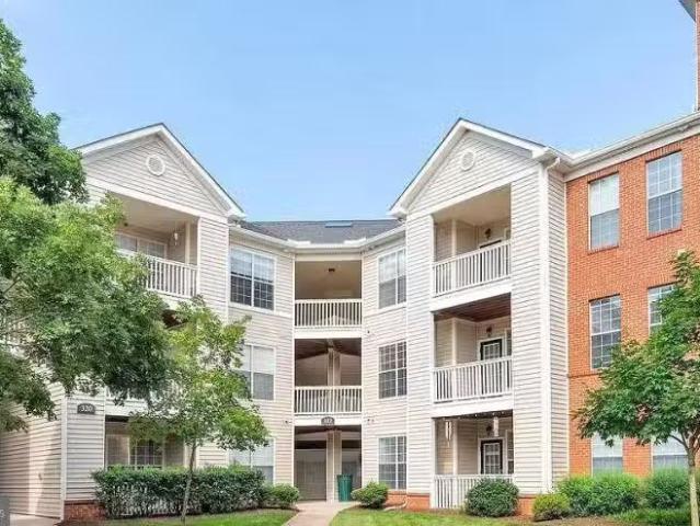Apartment for rent in Charlottesville