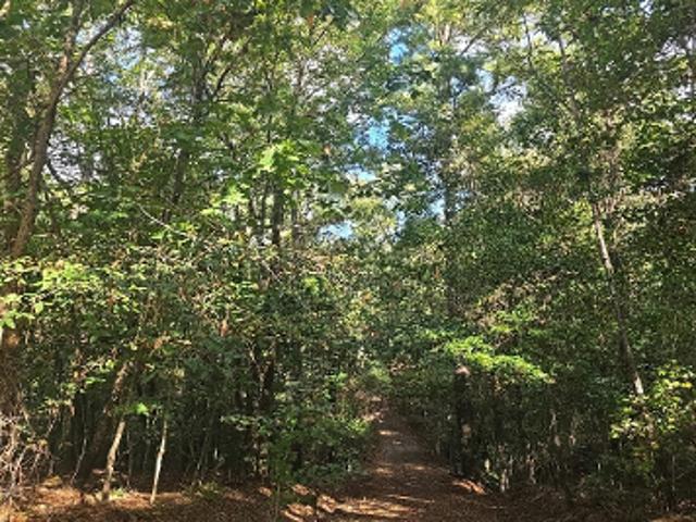House for sale in Macon, Jones County