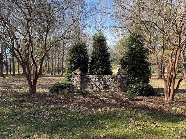 Land for sale in Moundville
