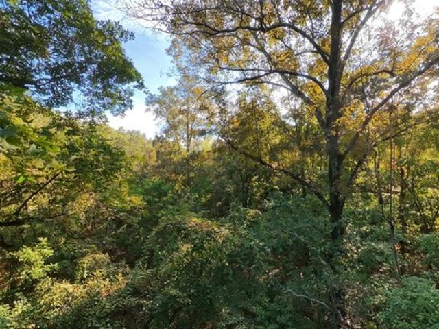 Land for sale in Mammoth Spring, Fulton County