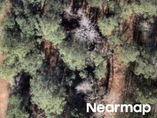 Land for sale in Covington, Georgia