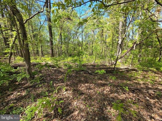 Land for sale in Lanham, Maryland
