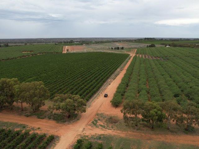 Cottage for sale in Moorook South, South Australia