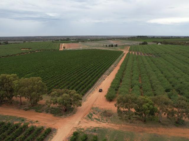 Property for sale in Moorook South, South Australia