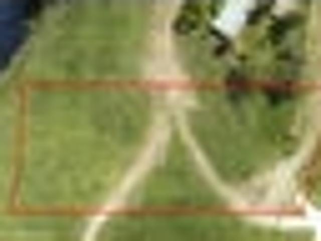 Land for sale in Waikato
