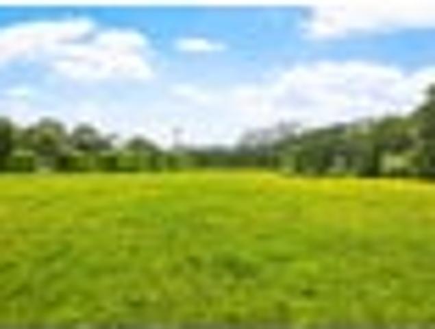 Land for sale in Kawau Island