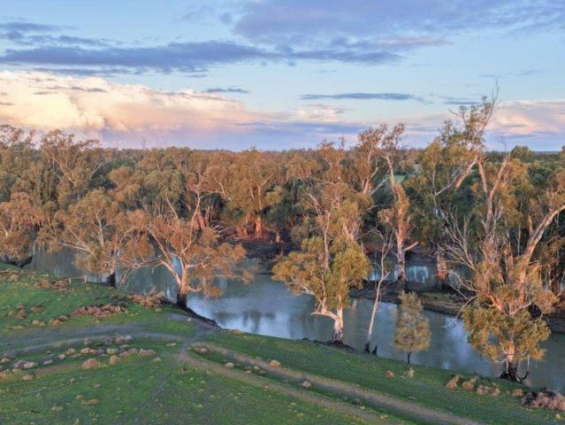 Cottage for sale in Moulamein, New South Wales