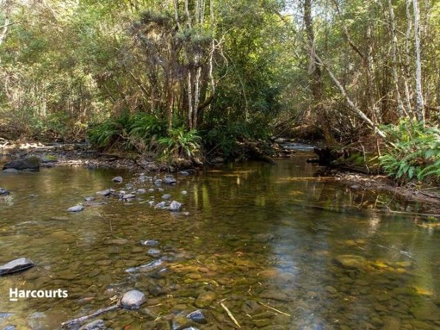 Land for sale in Lonnavale, Tasmania