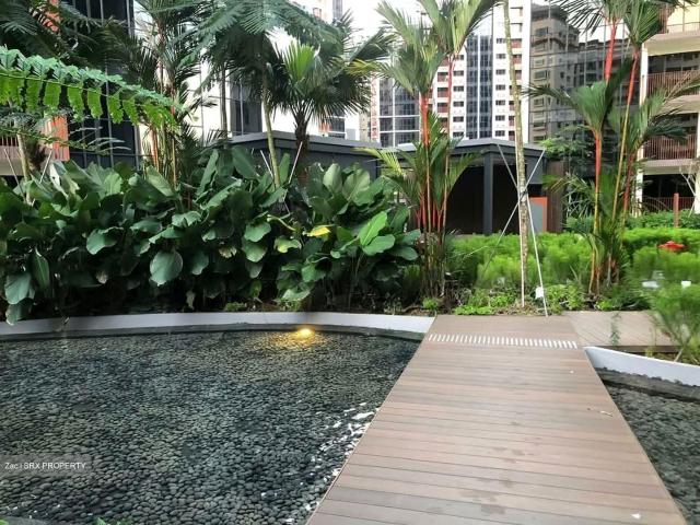 Apartment for rent