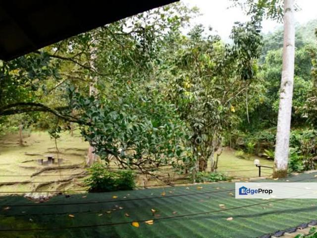 Shop for sale in Pahang