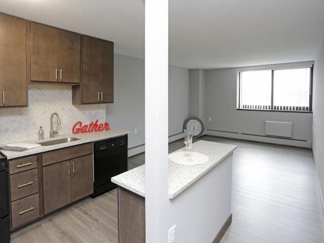 Apartment for rent in Hennepin, Minnesota