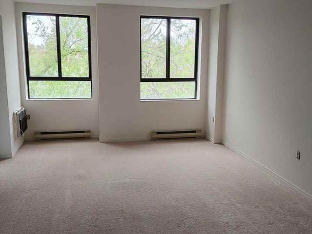Apartment for rent in Arva, Ontario