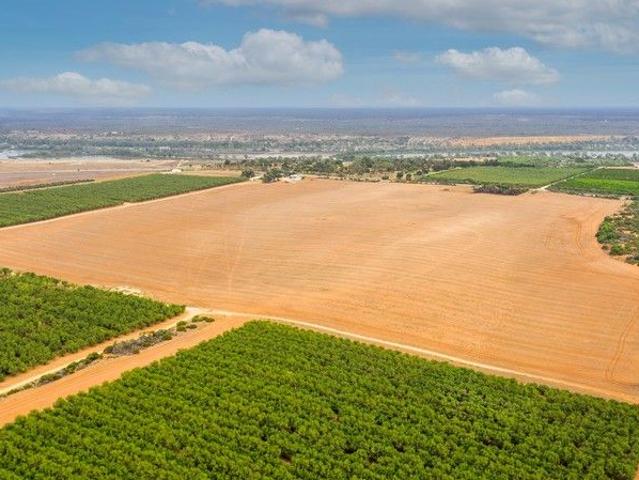 Cottage for sale in Swan Reach, South Australia