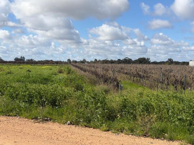 Property for sale in Cobdogla, South Australia