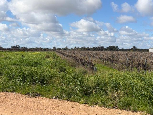 Cottage for sale in Cobdogla, South Australia