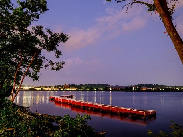 Apartment for rent in Washington, Washington DC