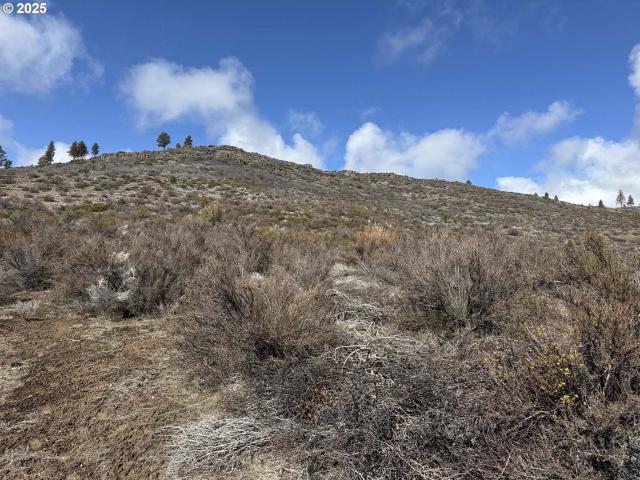 Land for sale in Oregonia