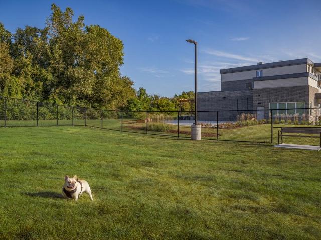 Apartment for rent in Chatham–kent, Ontario