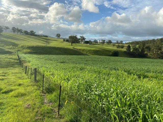 Cottage for sale in Hickeys Creek, New South Wales