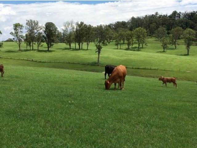 Cottage for sale in Hickeys Creek, New South Wales