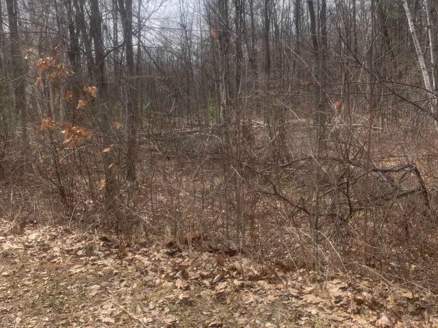Land for sale in Gladwin