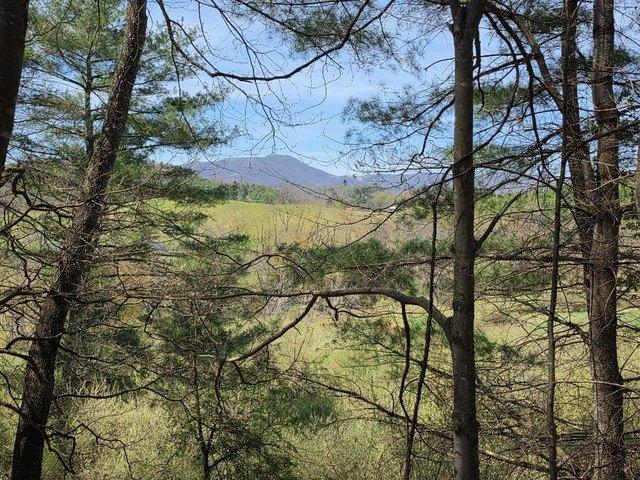 Land for sale in Virginia