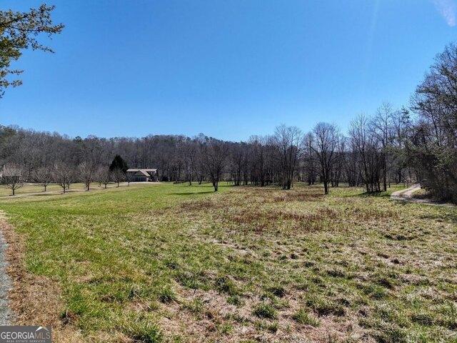 Land for sale in Blairsville