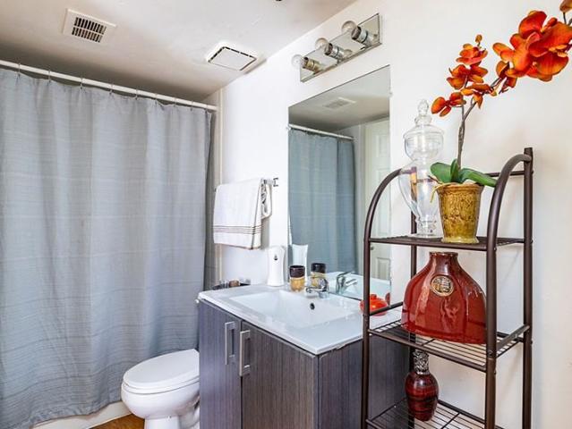 Apartment for rent in Tampa, Florida