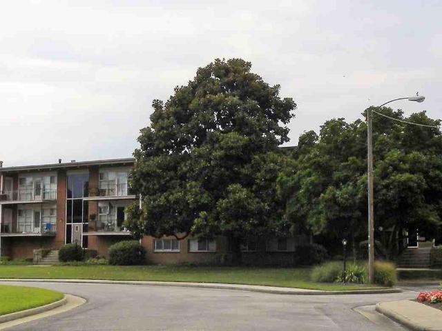 Apartment for rent in Virginia