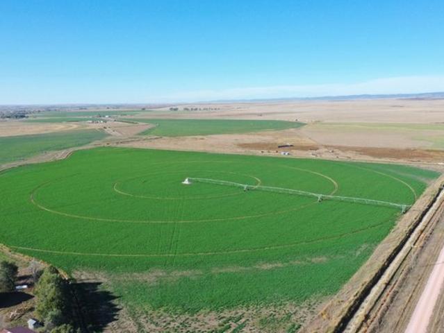 Land for sale in Buffalo Gap, South Dakota