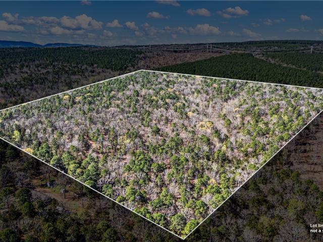 Land for sale in Ark