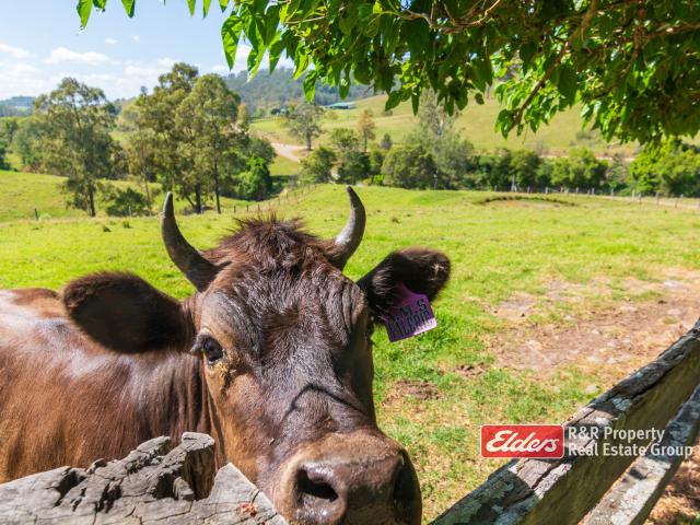 Property for sale in Bucca Wauka, New South Wales