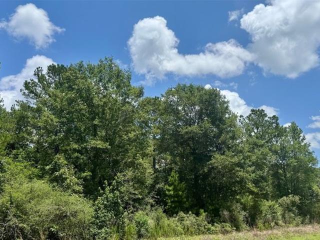 Land for sale in Polk, Texas
