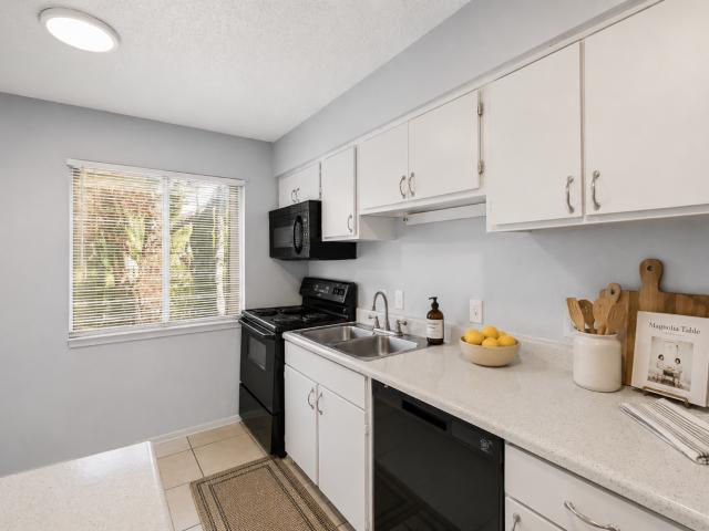 Apartment for rent in Tampa, Florida