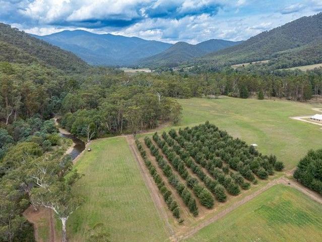 Cottage for sale in Harrietville, Victoria