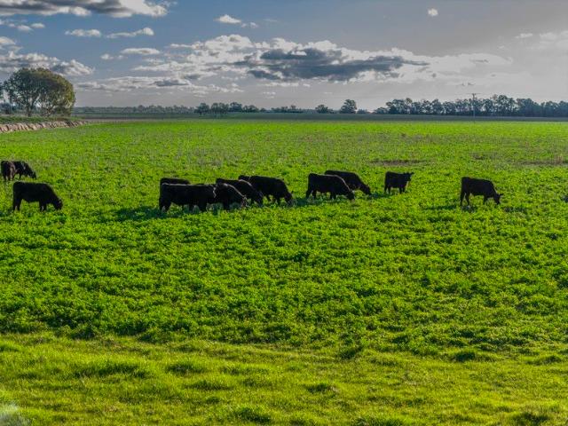 Cottage for sale in Ballimore, New South Wales