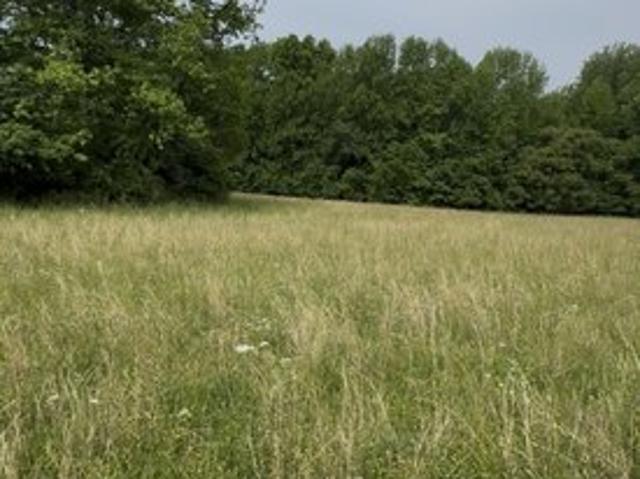 Land for sale in Mount Juliet, Middle Tennessee