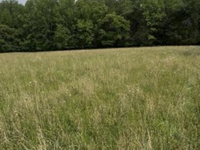 Land for sale in Tennessee