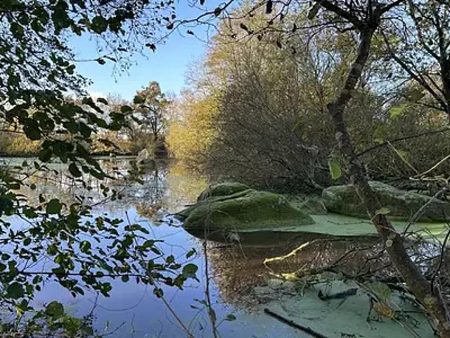 Terrain vente à La Roche-sur-Yon, Saint-florent-des-bois
