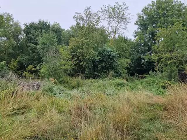 Terrain vente à Villevêque, Rives-du-Loir-en-Anjou