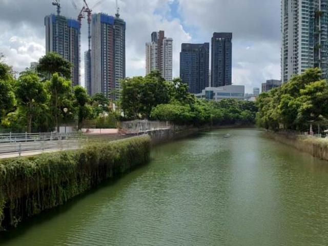 Condominium for sale in Bukit Timah