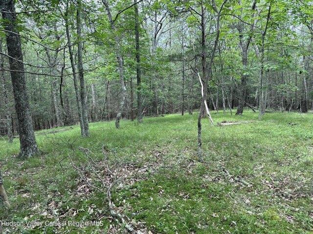 Land for sale in Saugerties