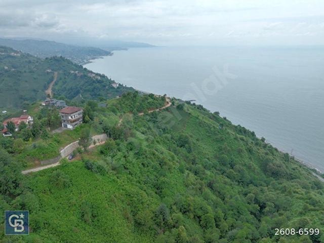 Ardeşen, Rize içerisinde satılık mülk