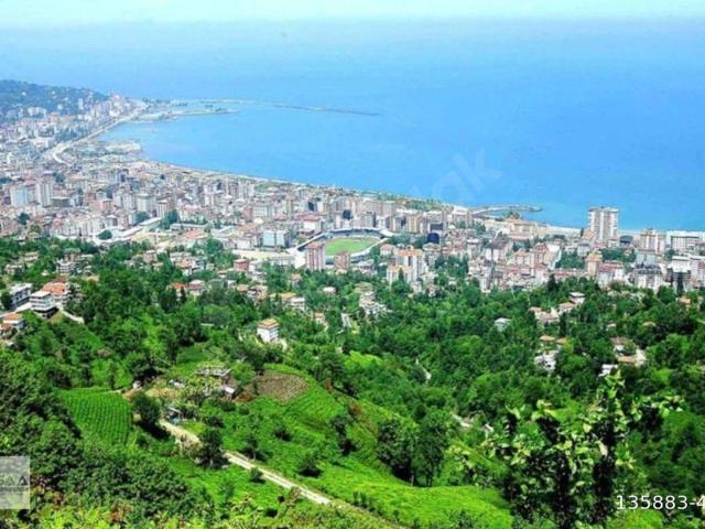 Rize Merkez, Karadeniz Bölgesi içerisinde satılık Arsa