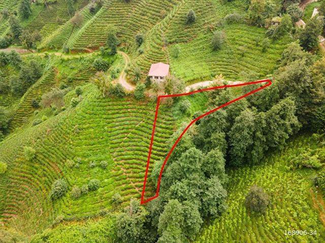 Rize içerisinde satılık mülk