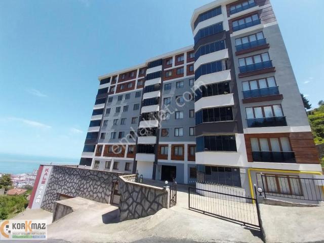 Rize içerisinde kiralık mülk